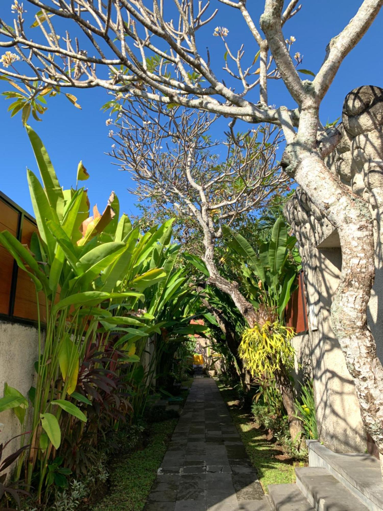 The Awan Villas - Chse Certified Seminyak Kültér fotó